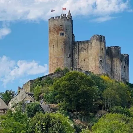 Studio Gite A Najac